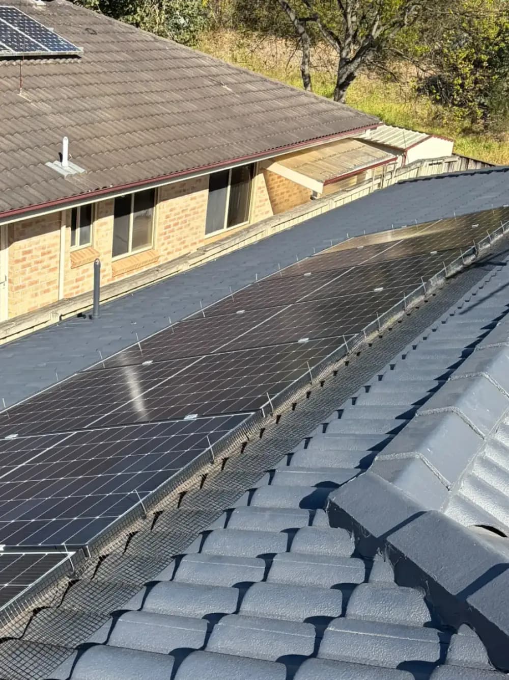 Rooftop solar array on a metal roof protected by bird mesh