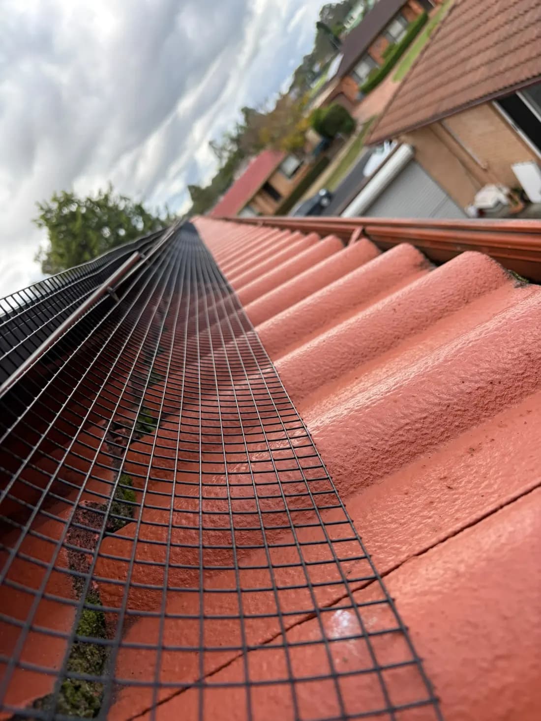Black bird mesh clipped around a solar panel edge, following the profile of terracotta roof tiles