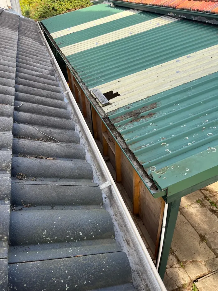 Roof gutter before cleaning