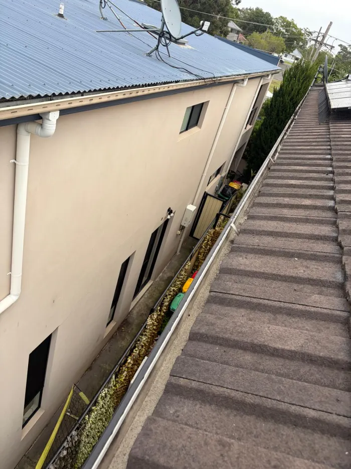 Leaves and debris collected along a roof gutter before cleaning