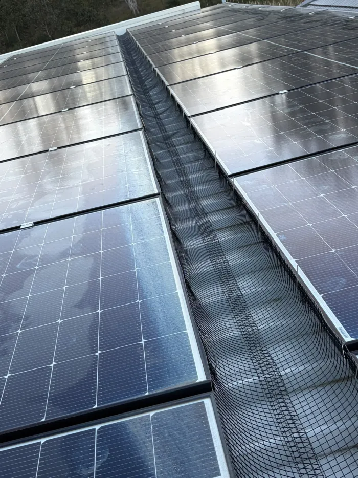 Bird mesh sealing the channel between two rows of solar panels