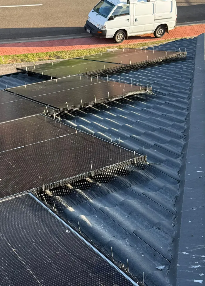 Bird mesh installed around solar panels on a commercial metal deck roof