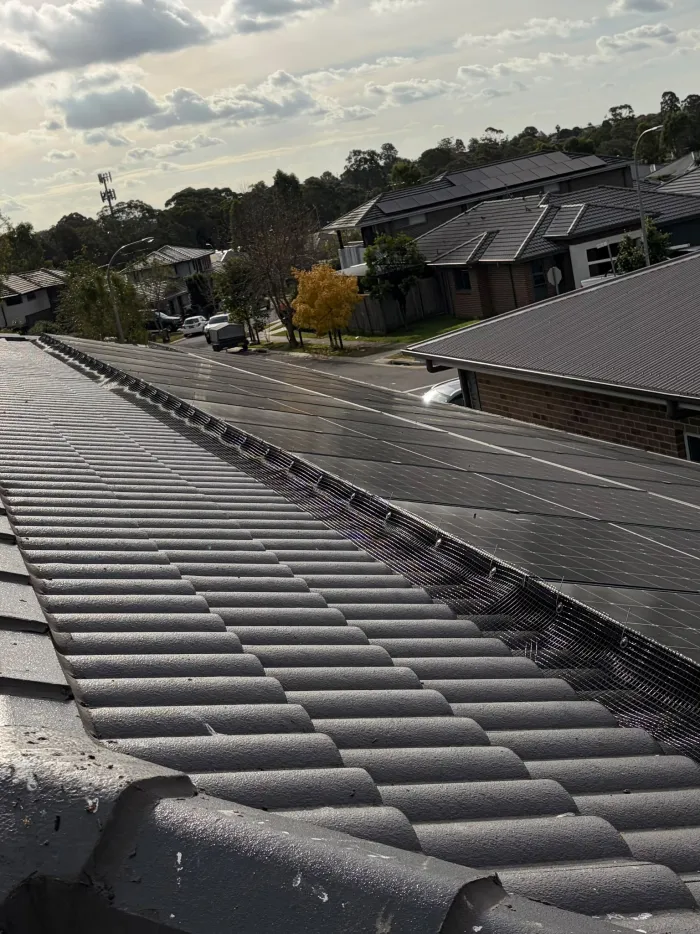 Long run of bird mesh protecting a rooftop solar array at dusk in Sydney
