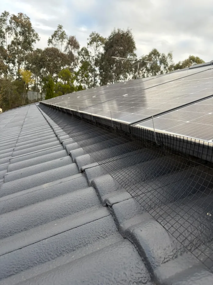 Bird mesh on a grey tile roof solar array with gum trees behind