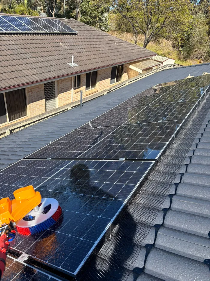 Bird mesh installation running along a long row of rooftop solar panels