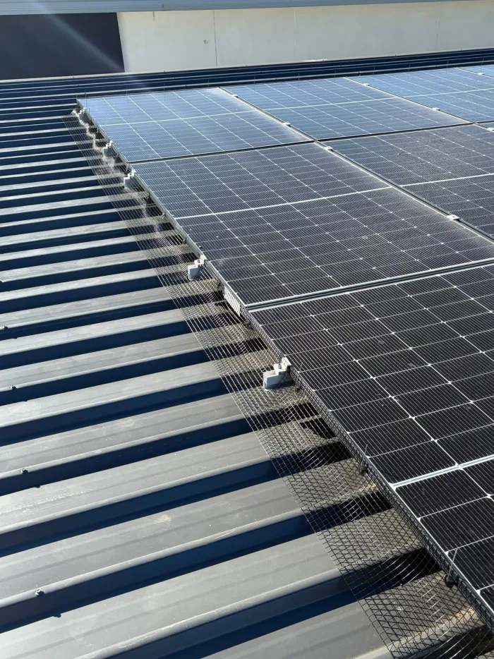Bird mesh secured with frame clips to solar panels on a white corrugated metal roof
