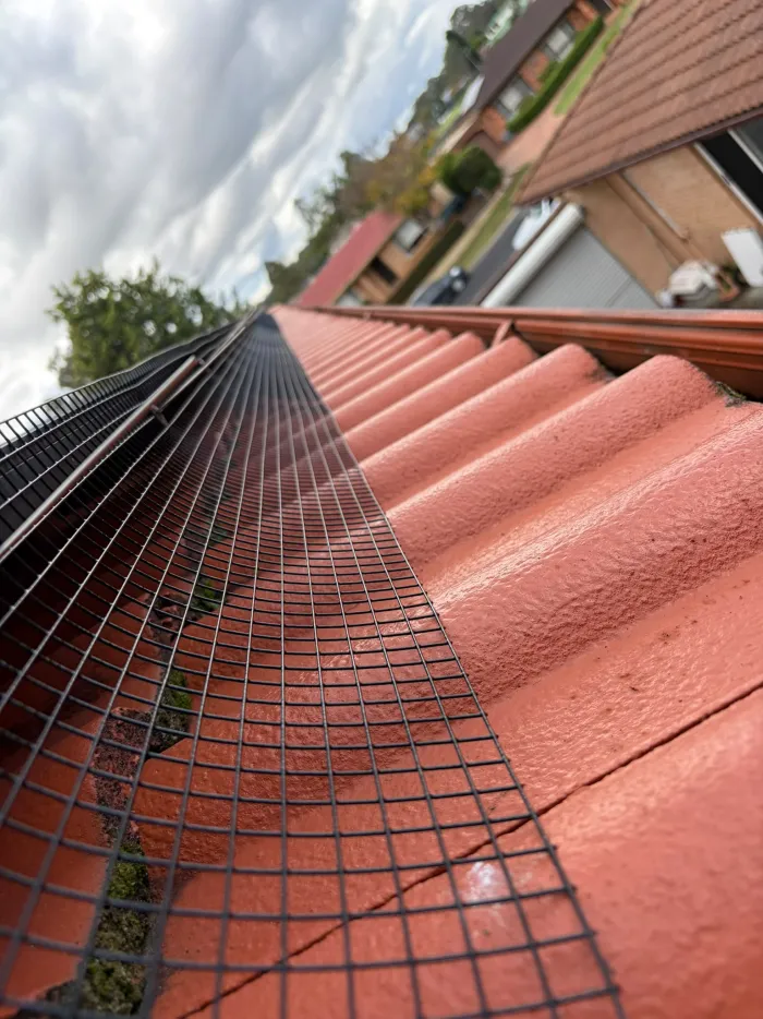 Close view of black bird mesh following the curve of freshly coated terracotta roof tiles
