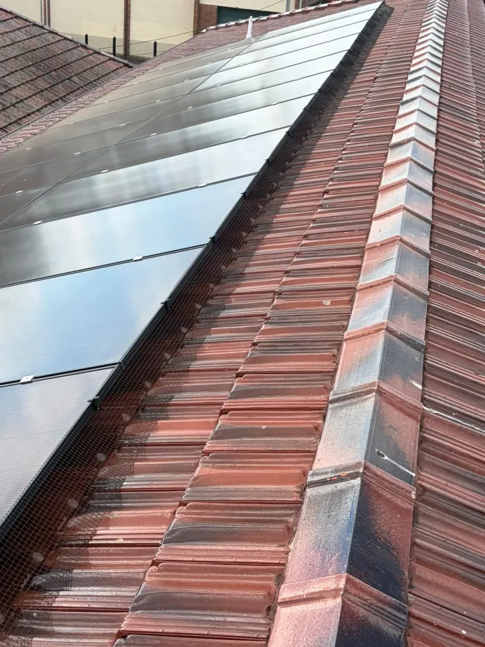 Bird mesh fitted beside a red terracotta roof ridge