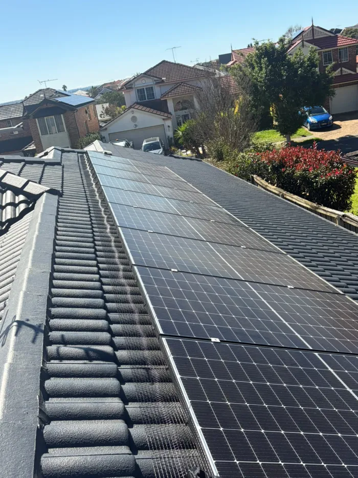 Bird mesh following the roofline beside a solar array