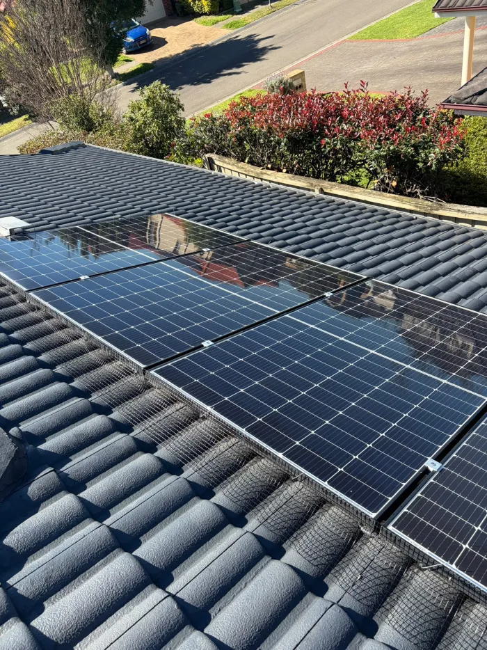 Completed bird mesh install on a dark tile roof overlooking a Sydney street